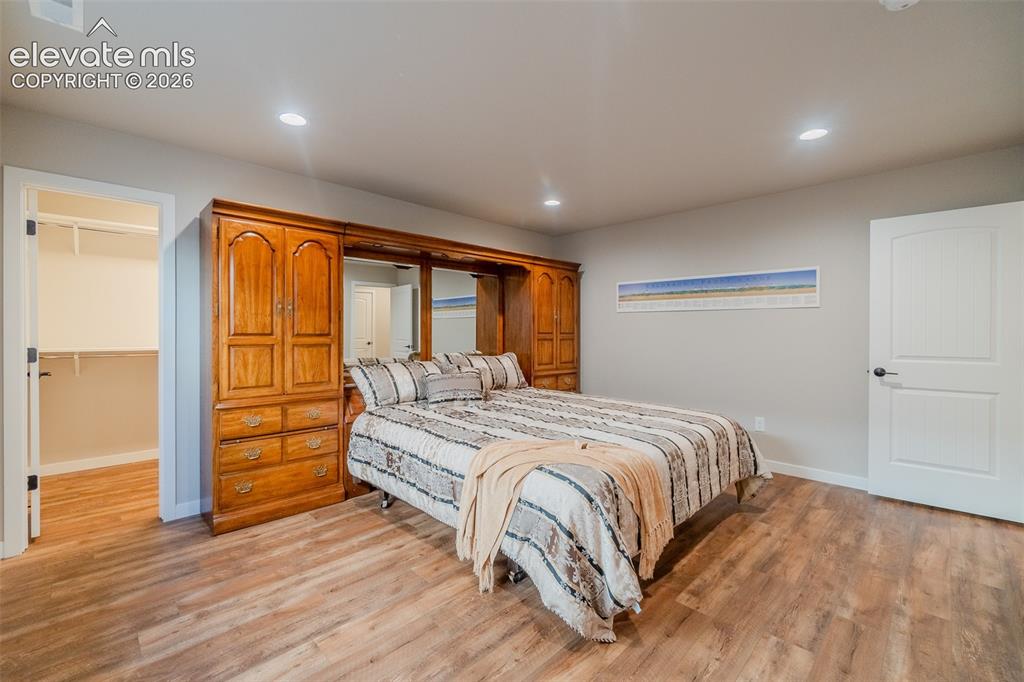 1061 Native Dancer Terrace Colorado Springs, CO 80921 - Photo 42 of 50 Spacious room featuring wood-finish flooring, recessed lighting, a built-in wall unit with integrated storage, and a walk-in closet with shelving