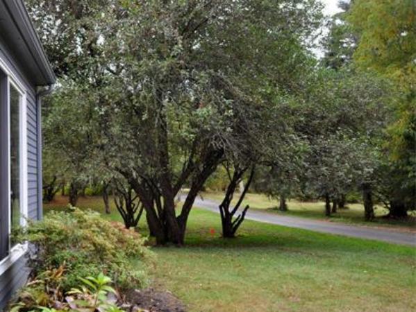 670 Lowell Road Concord, MA 01742 - Photo 23 of 29 Gallery Image 23