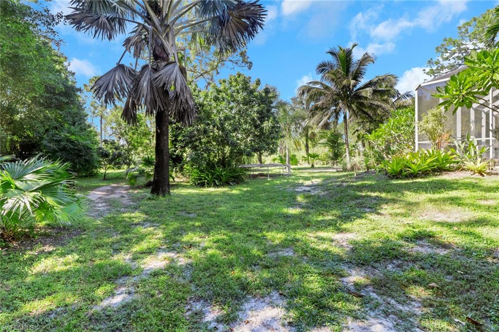 4380 7th Avenue Southwest Naples, FL 34119 - Photo 30 of 39 a view of a trees in a yard