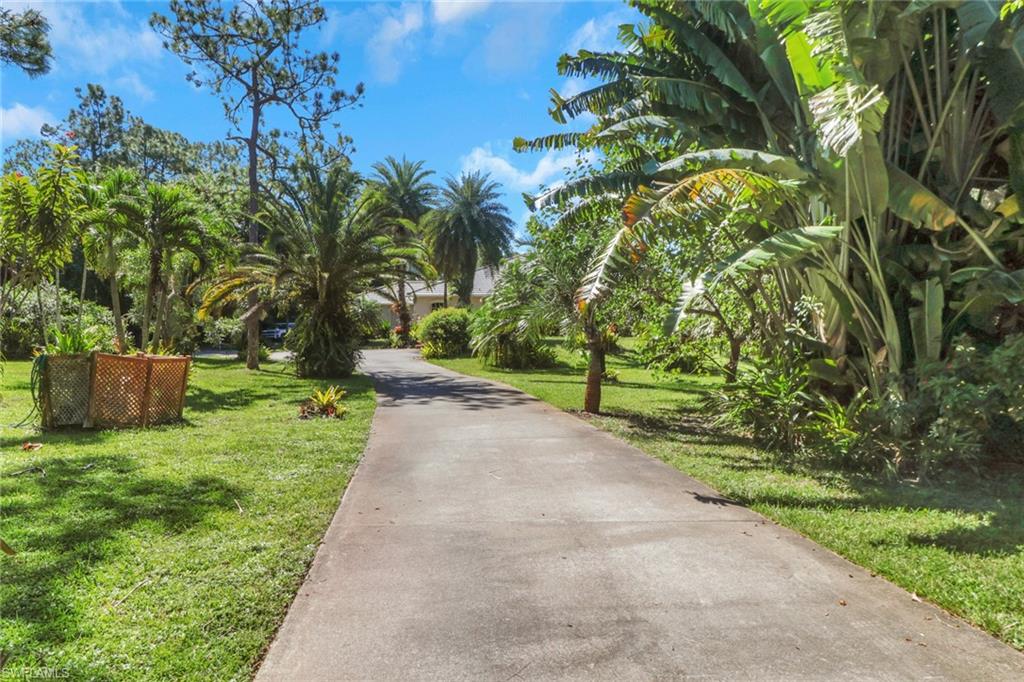 4380 7th Avenue Southwest Naples, FL 34119 - Photo 3 of 39 a view of a yard with plants and trees
