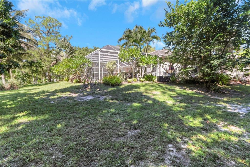4380 7th Avenue Southwest Naples, FL 34119 - Photo 31 of 39 a view of a big yard with plants and large trees