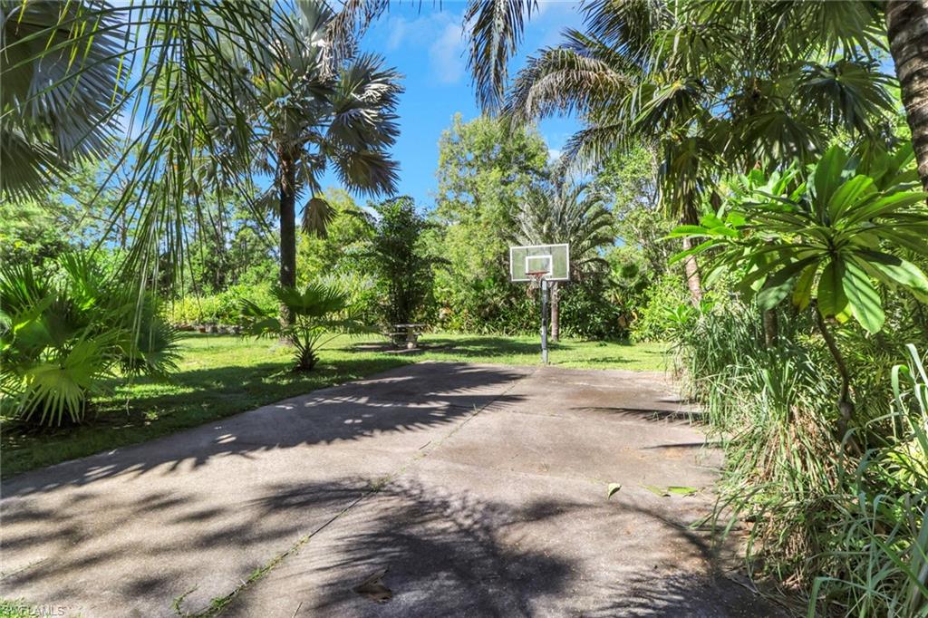 4380 7th Avenue Southwest Naples, FL 34119 - Photo 32 of 39 a view of a yard with plants and trees