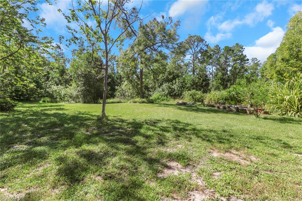 4380 7th Avenue Southwest Naples, FL 34119 - Photo 33 of 39 a view of a field with a tree