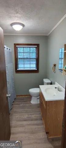 a bathroom with a sink toilet and window
