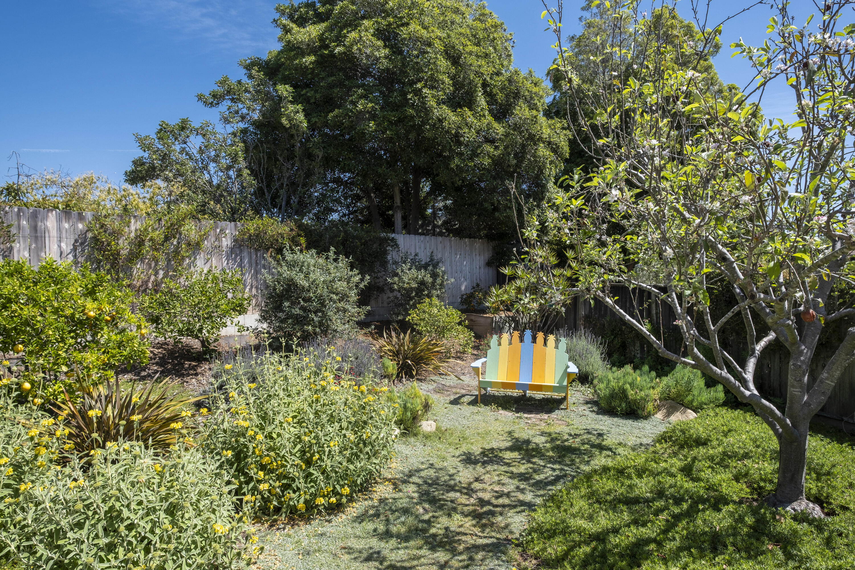 648 Wakefield Road Goleta, CA 93117 - Photo 11 of 13 Fruit Trees