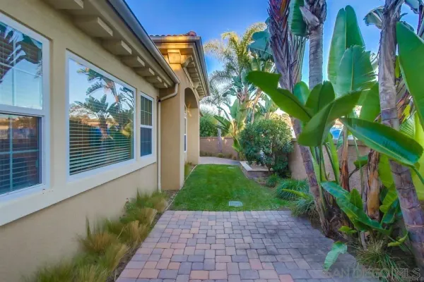 a view of a yard with plants and a large tree
