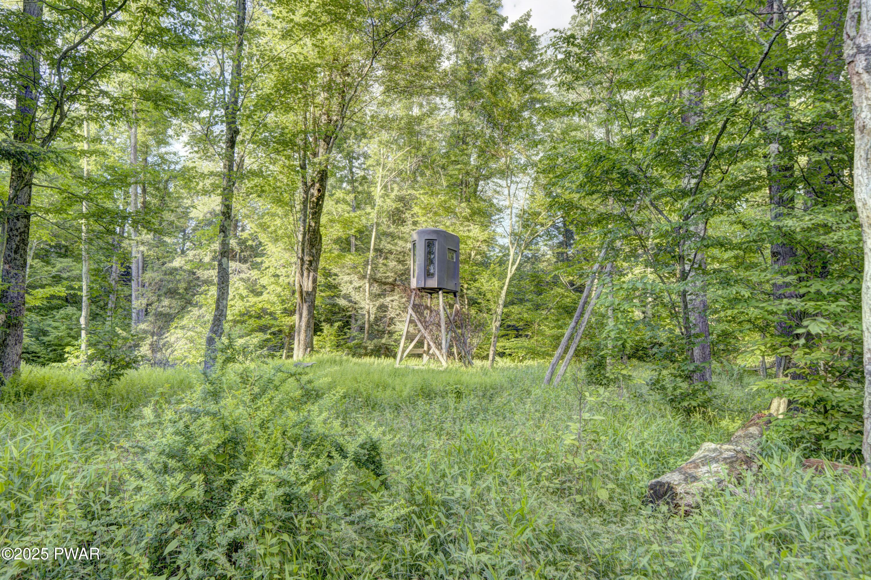 Gilpin Road Newfoundland, PA 18445 - Photo 35 of 53 Hunting Stand