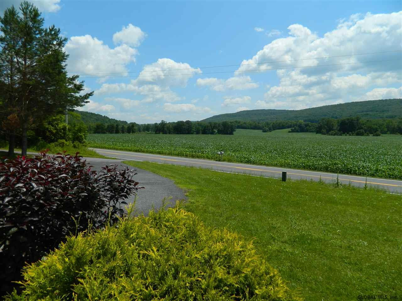 1774 Switzkill Road Berne, NY 12023 - Photo 4 of 25 Photo 4