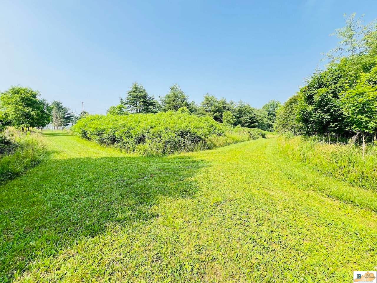 529 Coppage Road Russell Springs, KY 42642 - Photo 48 of 56 Gallery Image 48