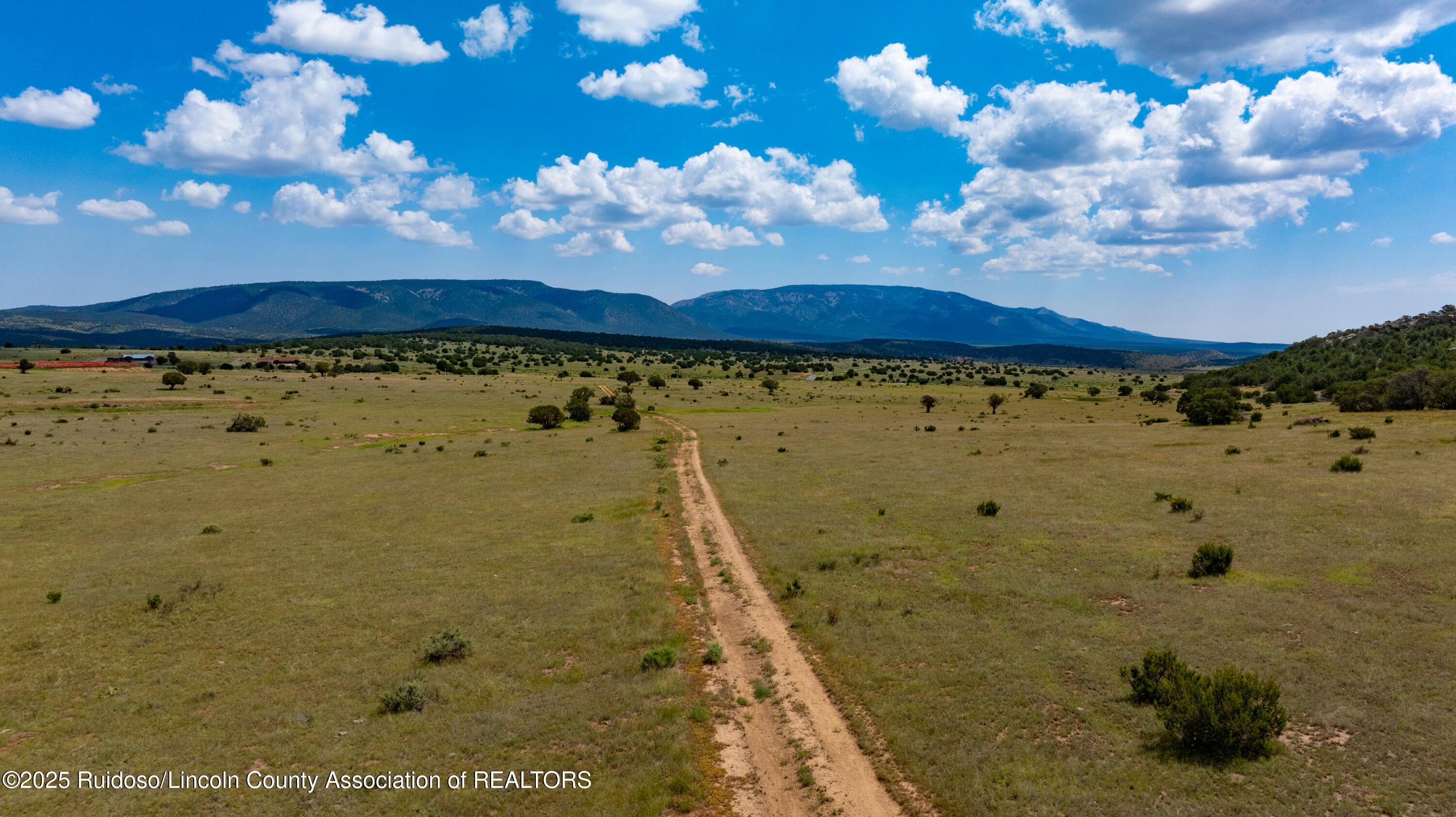 331 Pine Lodge Road Capitan, NM 88316 - Photo 134 of 156 Gallery Image 134