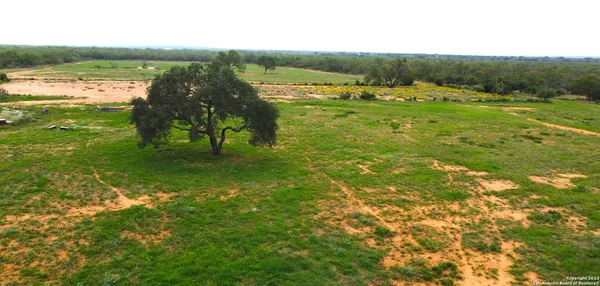 a view of an ocean from a yard
