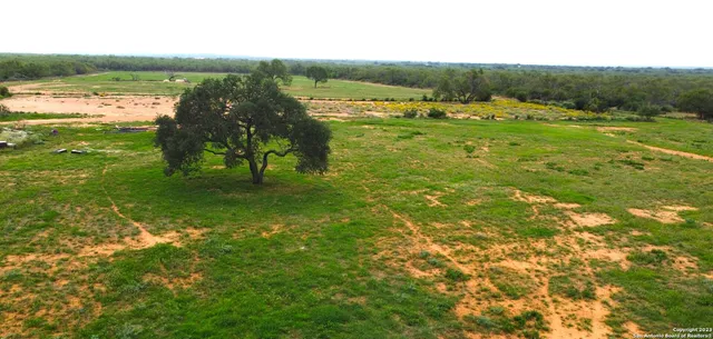 a view of an ocean from a yard