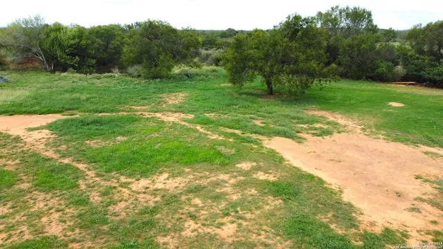 a view of a grassy field with trees in the background