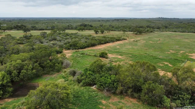 an aerial view of residential houses with outdoor space and trees