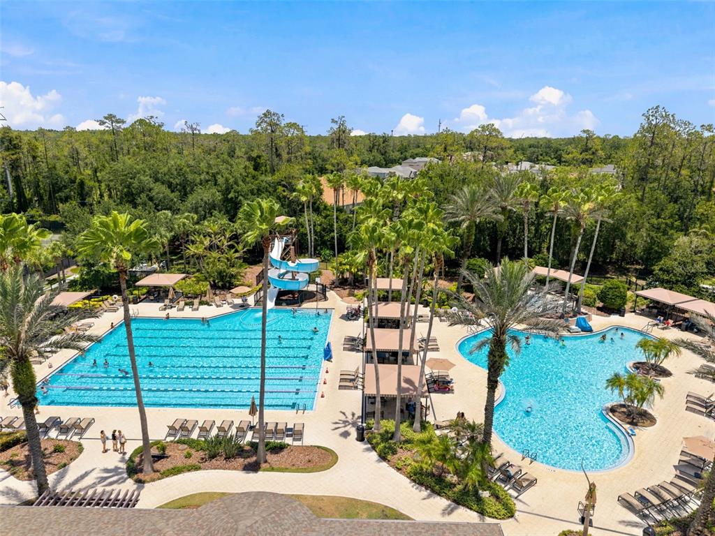 3449 Loggerhead Way Wesley Chapel, FL 33544 - Photo 48 of 52
