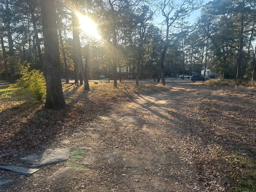 24304 Oak Run Magnolia, TX 77355 - Photo 12 of 12