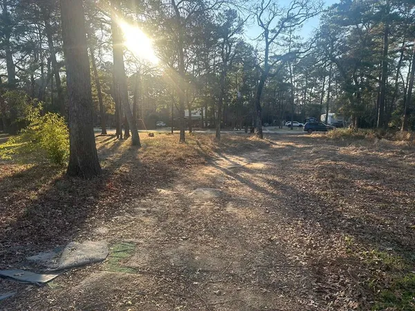 a view of a yard with trees