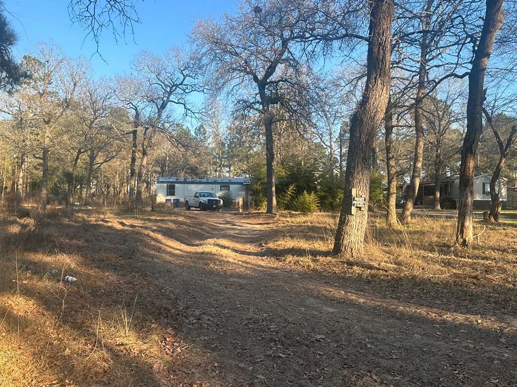 24304 Oak Run Magnolia, TX 77355 - Photo 9 of 10 a view of road with large trees