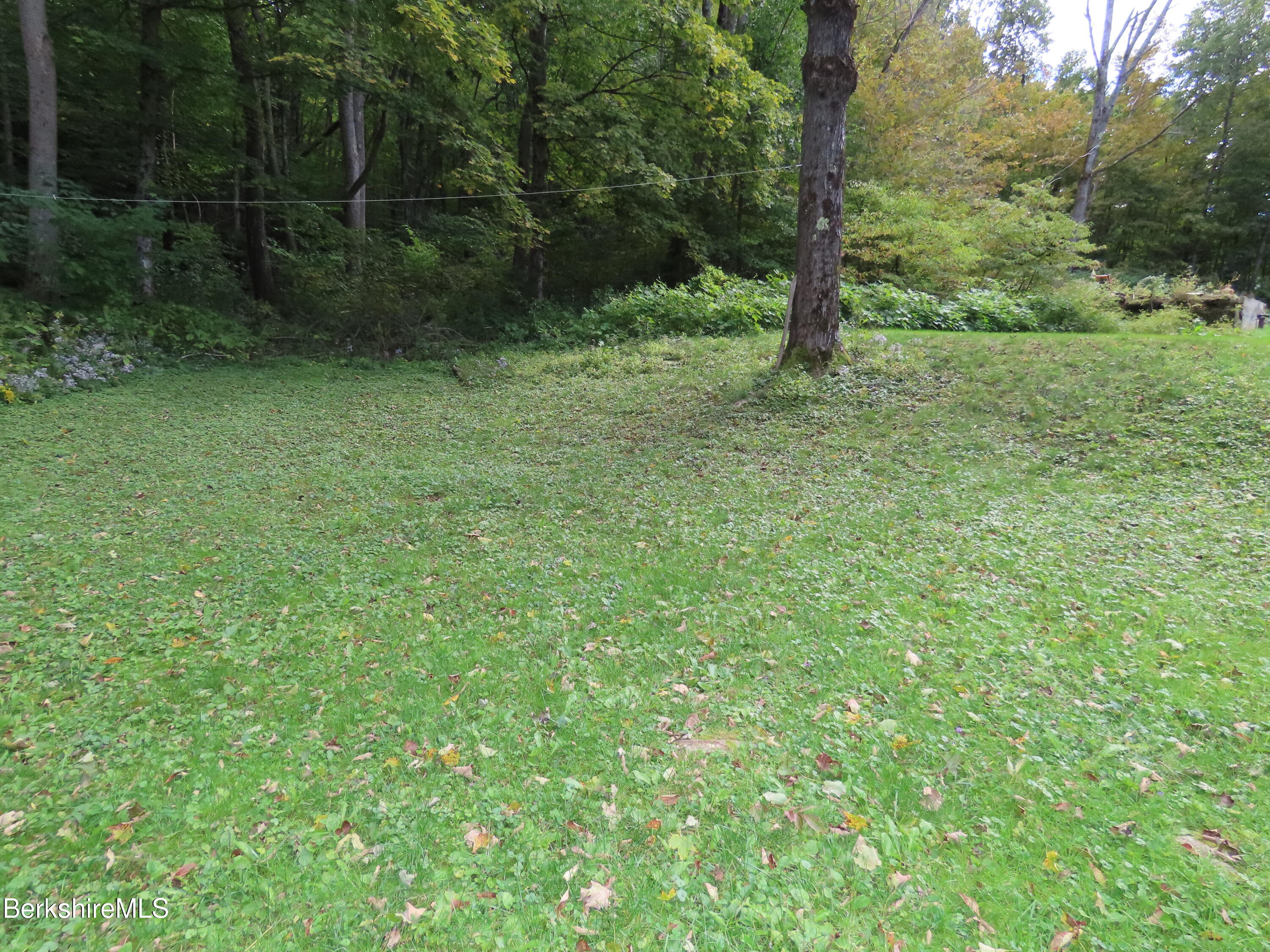 660 E Road Stamford, VT 05352 - Photo 6 of 41 a big yard with lots of green space and house in the back