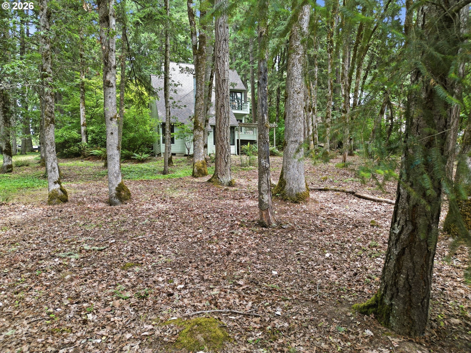 4650 Old Dillard Road Eugene, OR 97405 - Photo 45 of 48