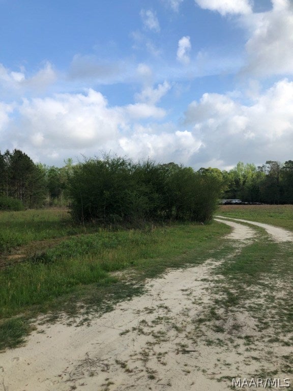 1142 Pera Road Samson, AL 36477 - Photo 3 of 17 Gallery Image 3