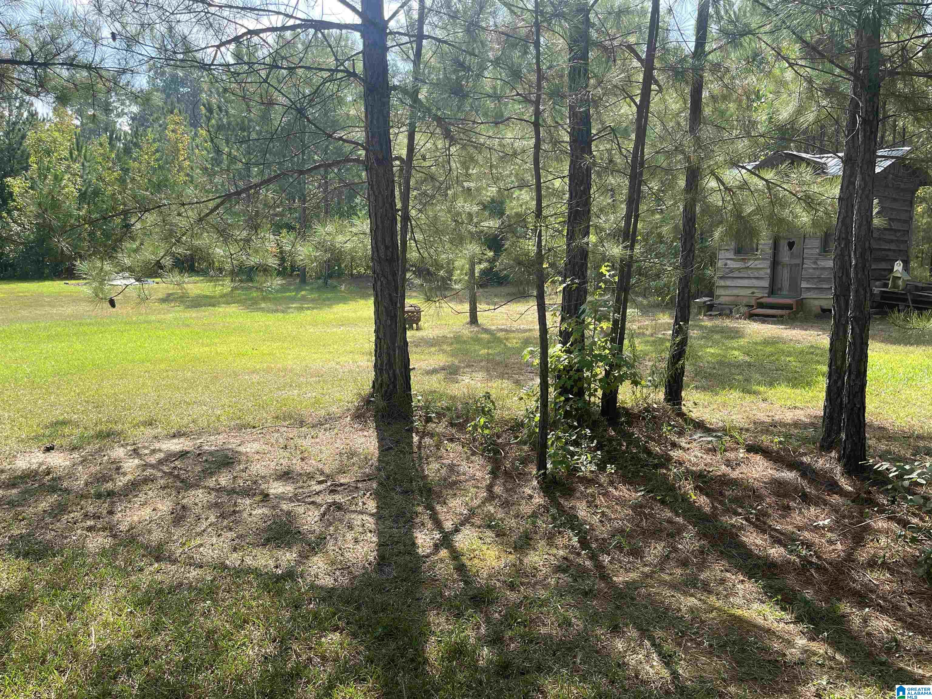 3304 Possum Trot Road Piedmont, AL 36272 - Photo 44 of 60