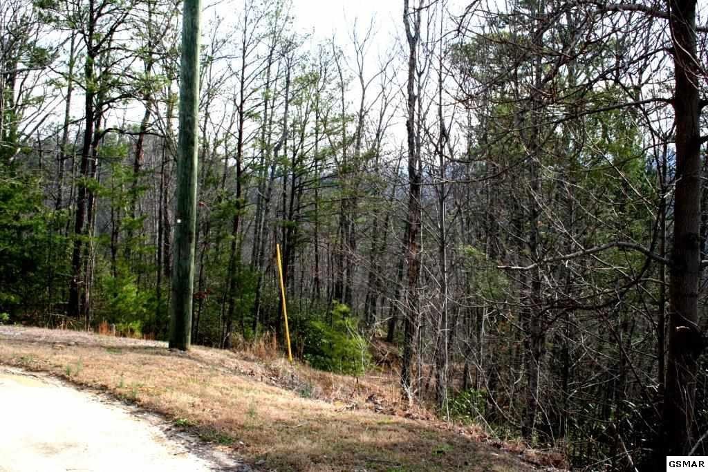 0 Morning Dove Way Sevierville, TN 37862 - Photo 2 of 5