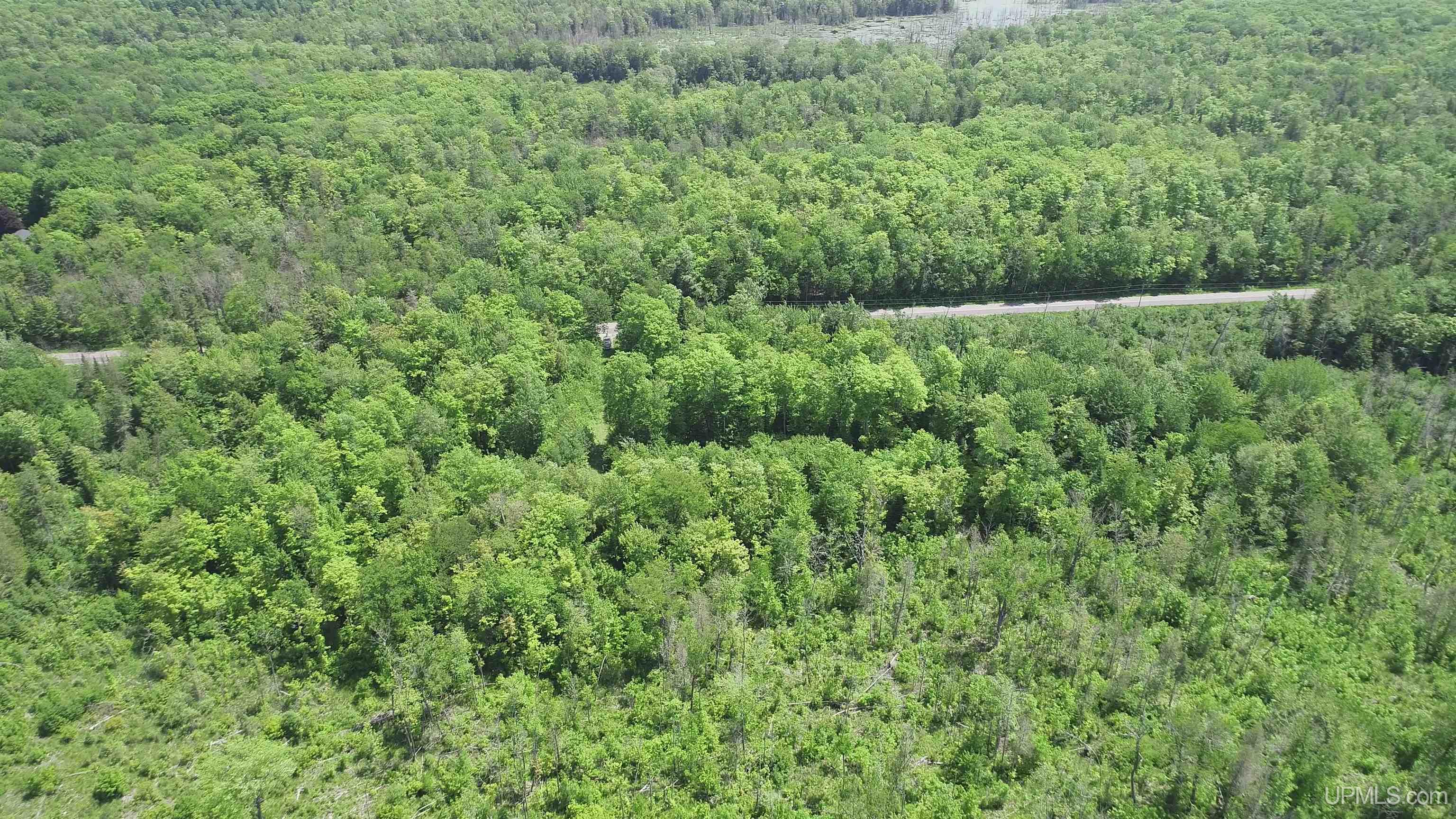 40-acres 40-acres Maple Grove Road Skandia, MI 49885 - Photo 7 of 19