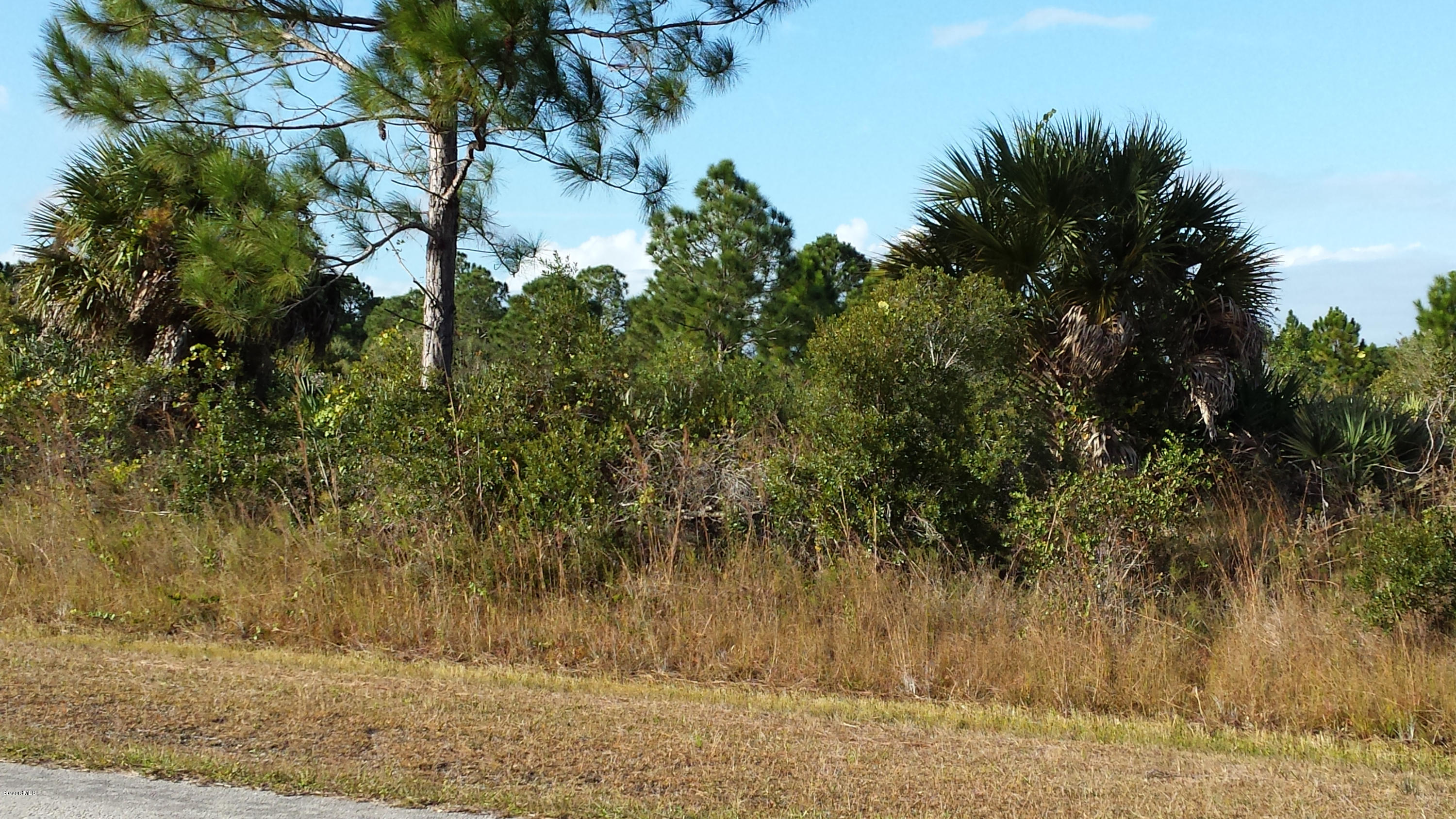 196 Deer Run Road Palm Bay, FL 32909 - Photo 1 of 1 LOT FRONT