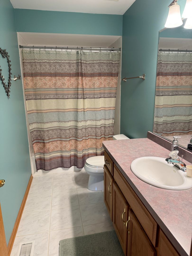 1397 O'Connell Circle New Lenox, IL 60451 - Photo 19 of 23 a bathroom with a sink a toilet and shower