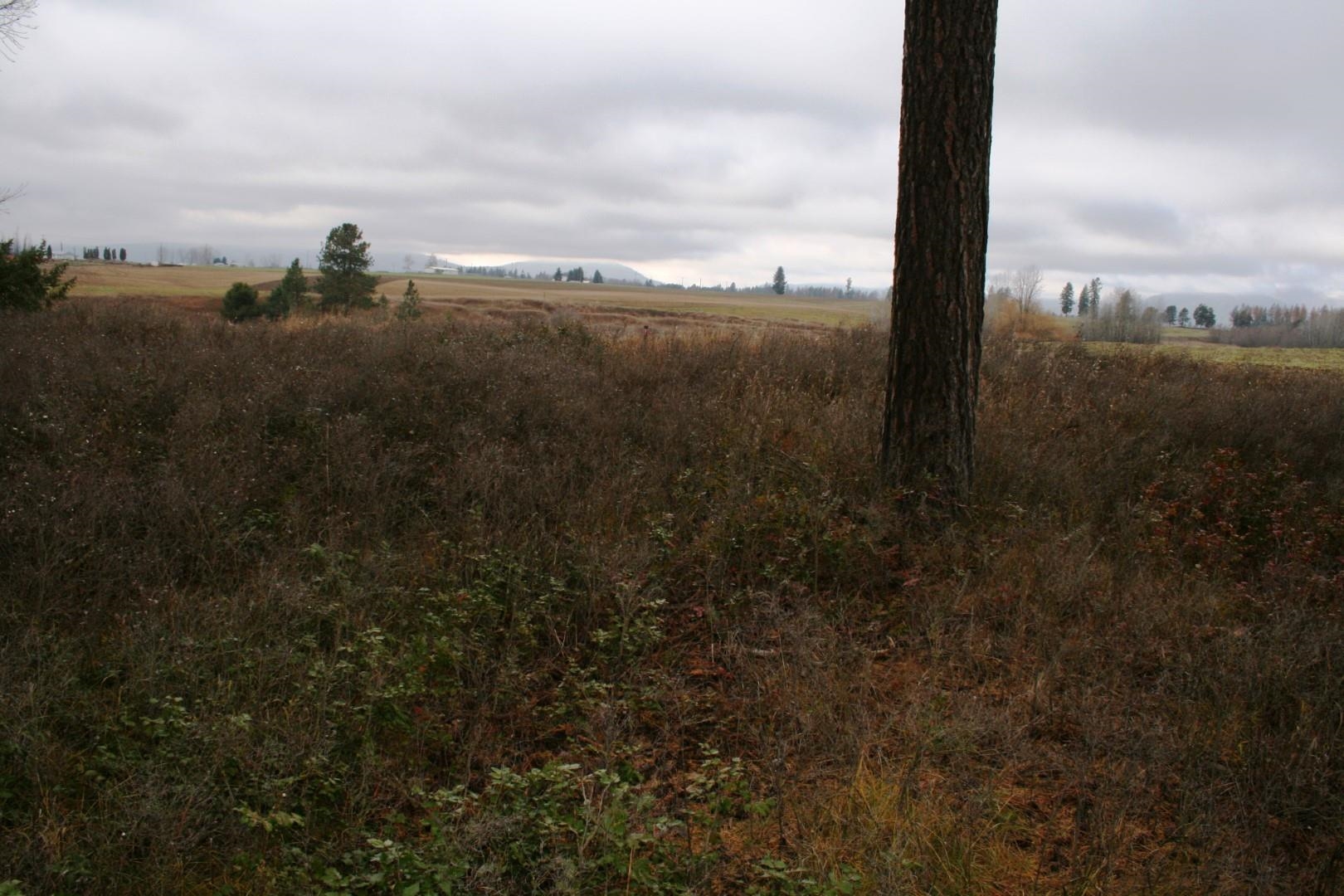 0 West Dahl Road Deer Park, WA 99006 - Photo 3 of 5