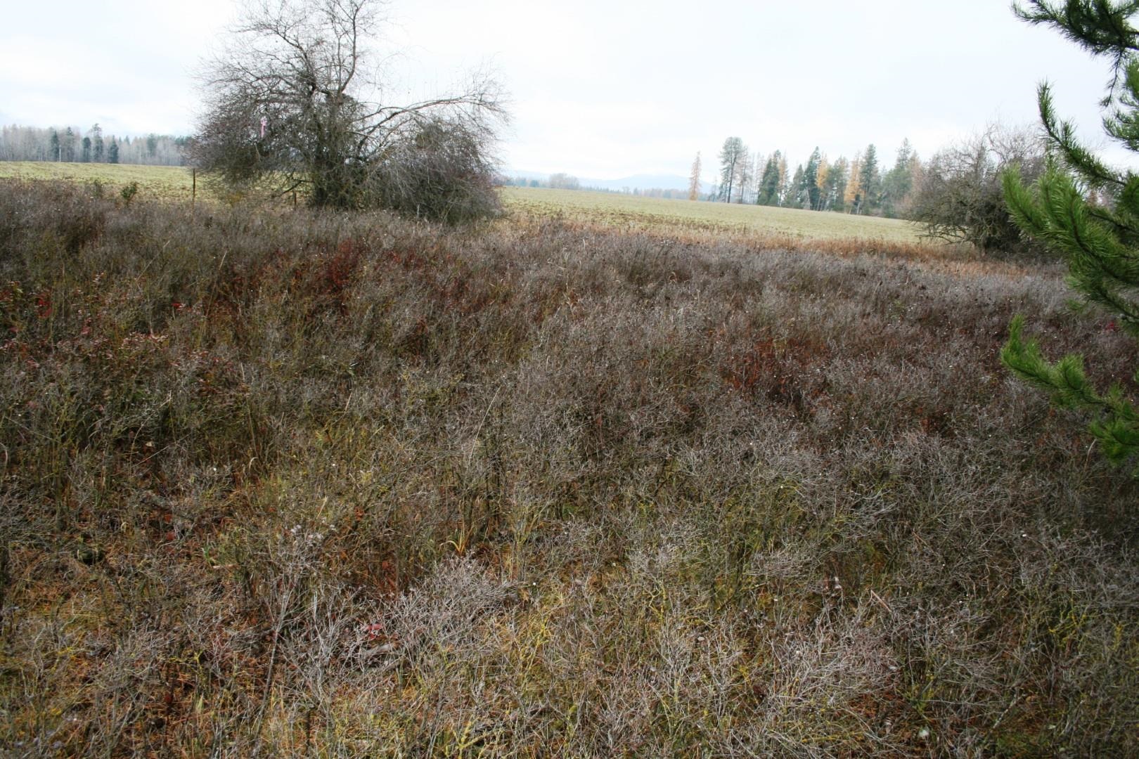 0 West Dahl Road Deer Park, WA 99006 - Photo 4 of 5