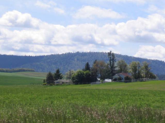 31605 South Harvard Road Fairfield, WA 99012 - Photo 9 of 9