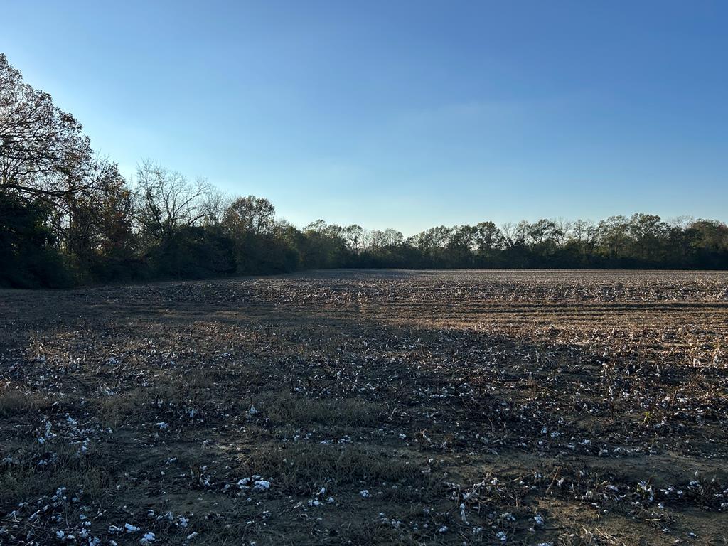 51.8-ac Hadden Road Dothan, AL 36301 - Photo 40 of 43