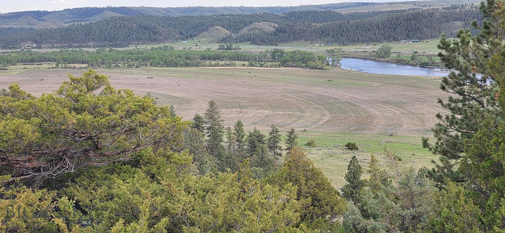 215 Shank Basin West Road Reed Point, MT 59069 - Photo 28 of 42 Gallery Image 28