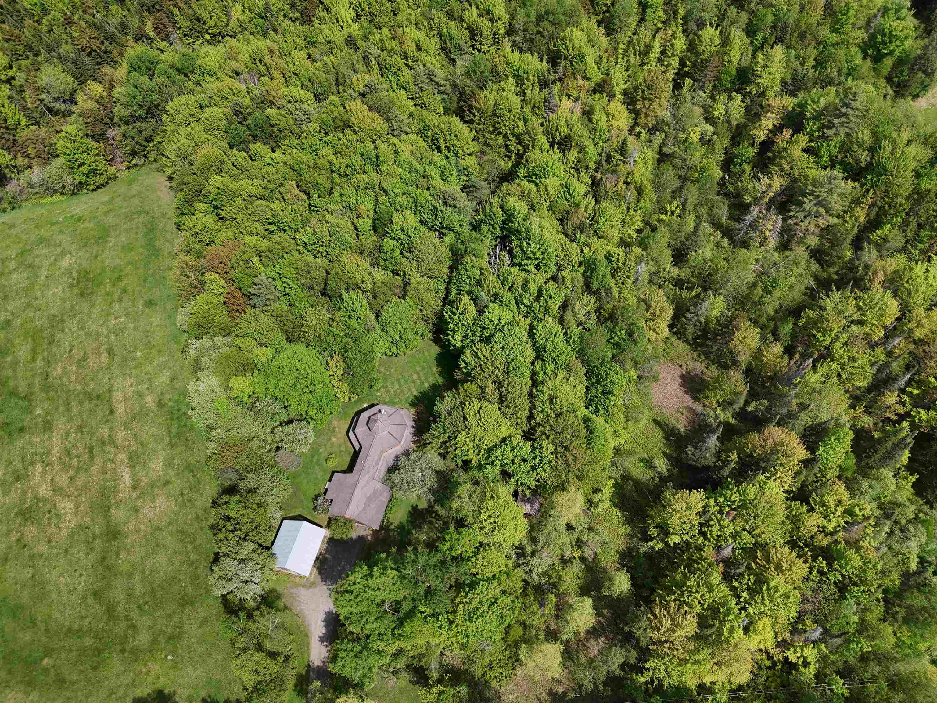 1927 Morey Hill Road Craftsbury, VT 05826 - Photo 50 of 55