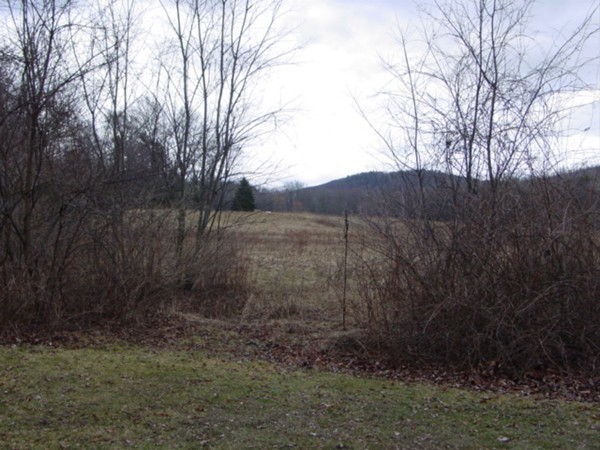863 Glendale Road Wilbraham, MA 01095 - Photo 1 of 10 Gallery Image 1