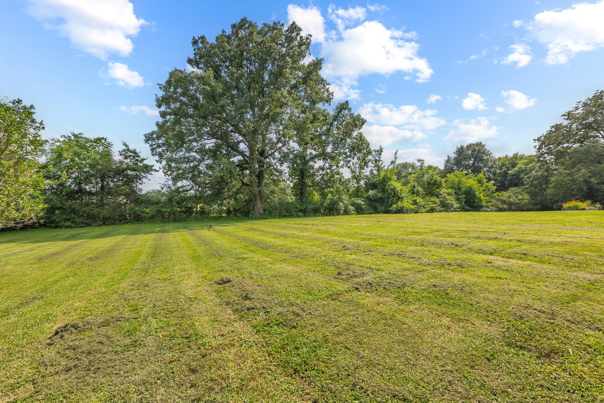 2683 Sims Road Shelbyville, TN 37160 - Photo 37 of 39 Gallery Image 37