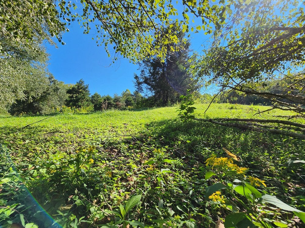 4465 Harmony Road Long Island, VA 24569 - Photo 20 of 51 Gallery Image 20