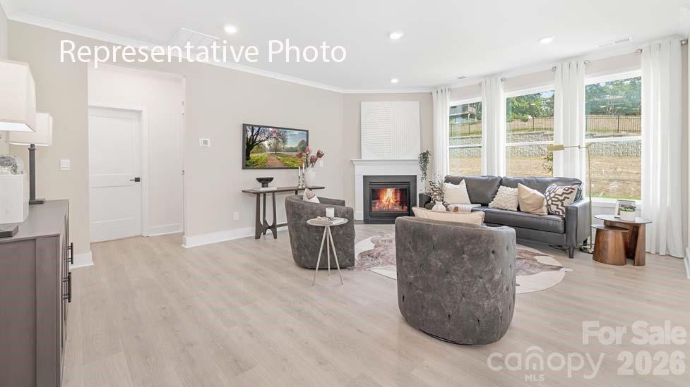 3040 Canvasback Way Indian Trail, NC 28079 - Photo 9 of 27 a living room with furniture and a fireplace