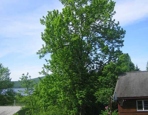 693 River Road Bucksport, ME 04416 - Photo 9 of 15 View.