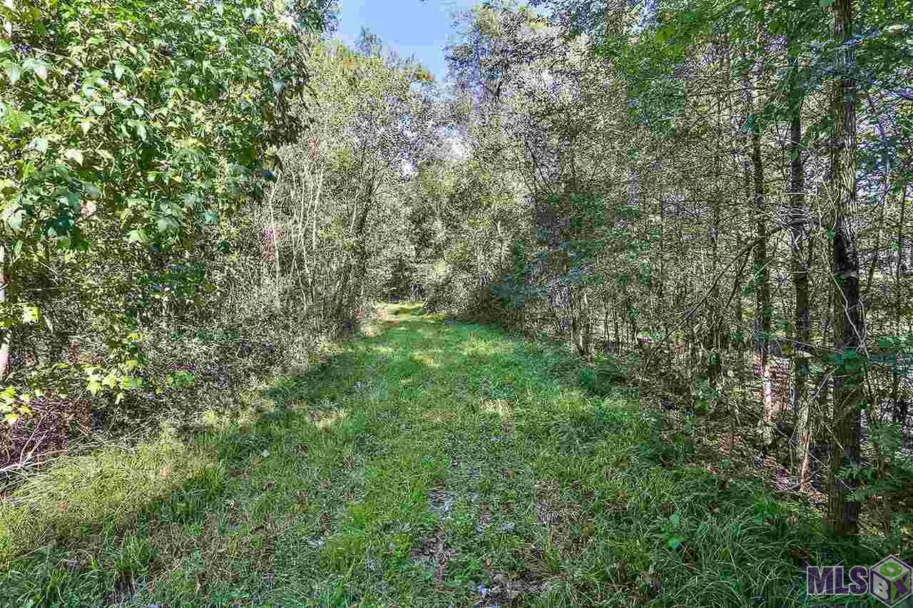 37016 White Road Prairieville, LA 70769 - Photo 9 of 11 Gallery Image 9