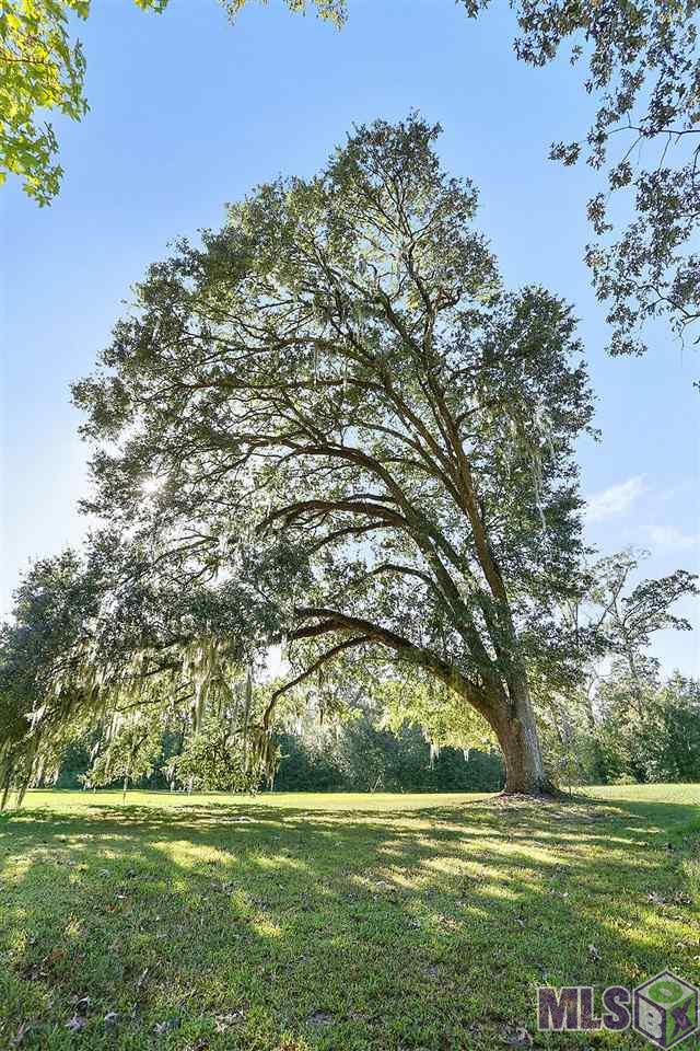 37016 White Road Prairieville, LA 70769 - Photo 10 of 11 Gallery Image 10