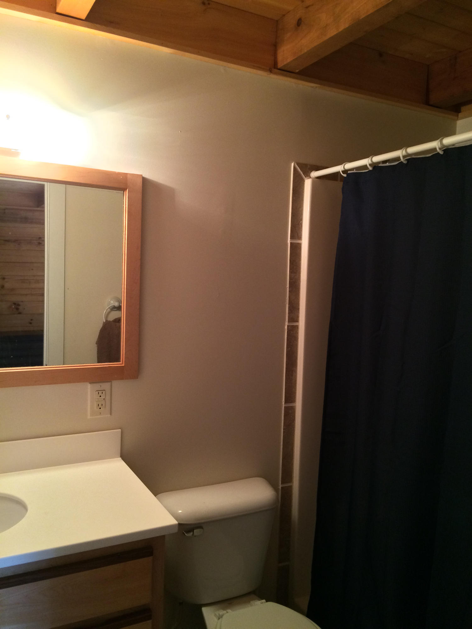 585 Mathis Cove Road, Unit 8 Birchwood, TN 37308 - Photo 21 of 39 20 Master Bath