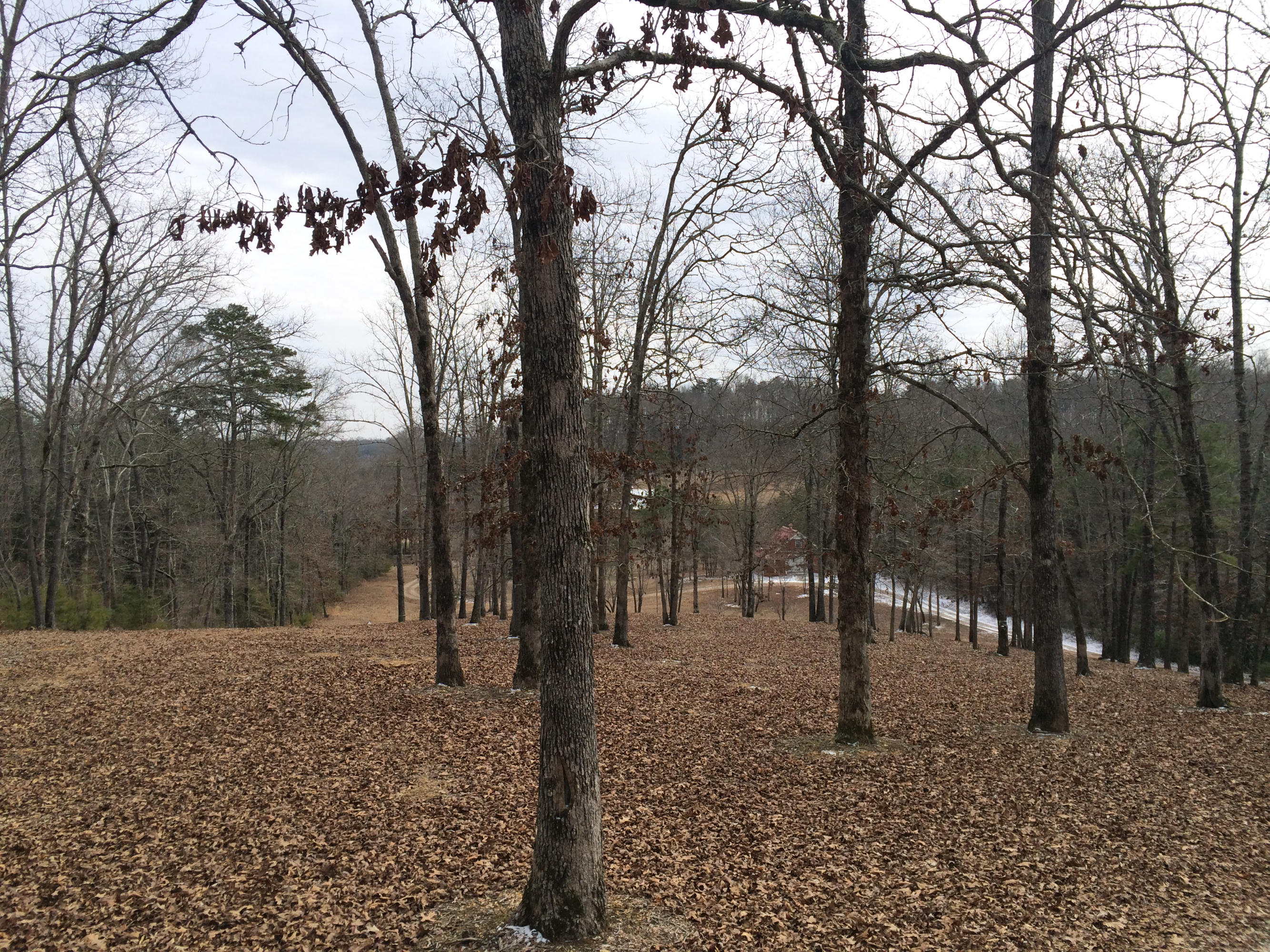 585 Mathis Cove Road, Unit 8 Birchwood, TN 37308 - Photo 23 of 39 21 Property