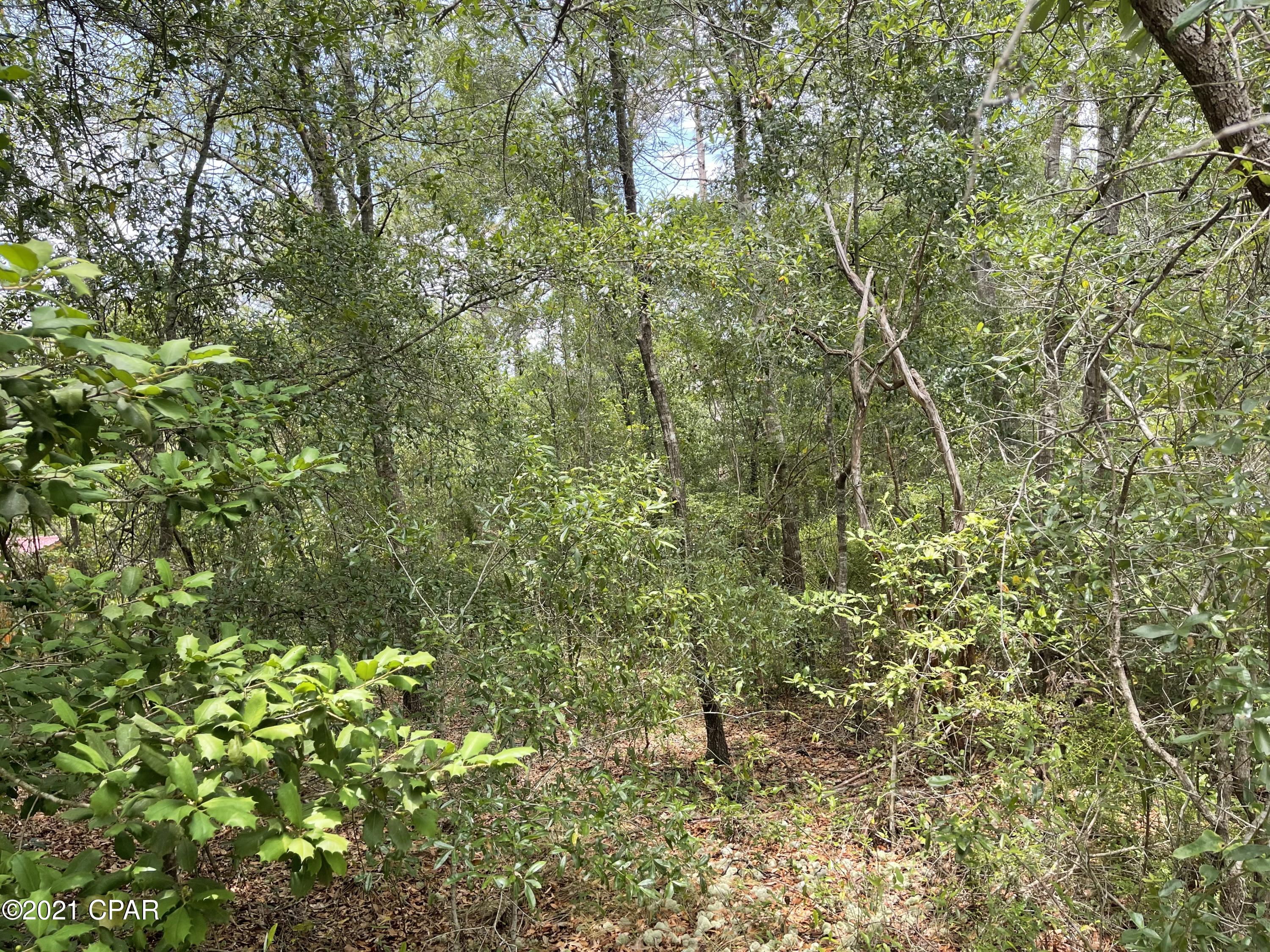 0 Mosquito Road Chipley, FL 32428 - Photo 7 of 8 Gallery Image 7