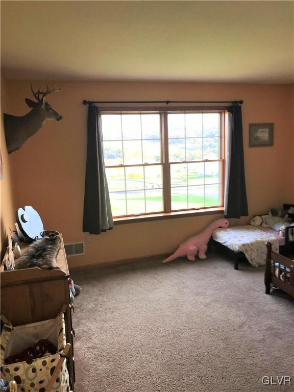 20 Pheasant Hill Road Kunkletown, PA 18058 - Photo 14 of 20 Gallery Image 14