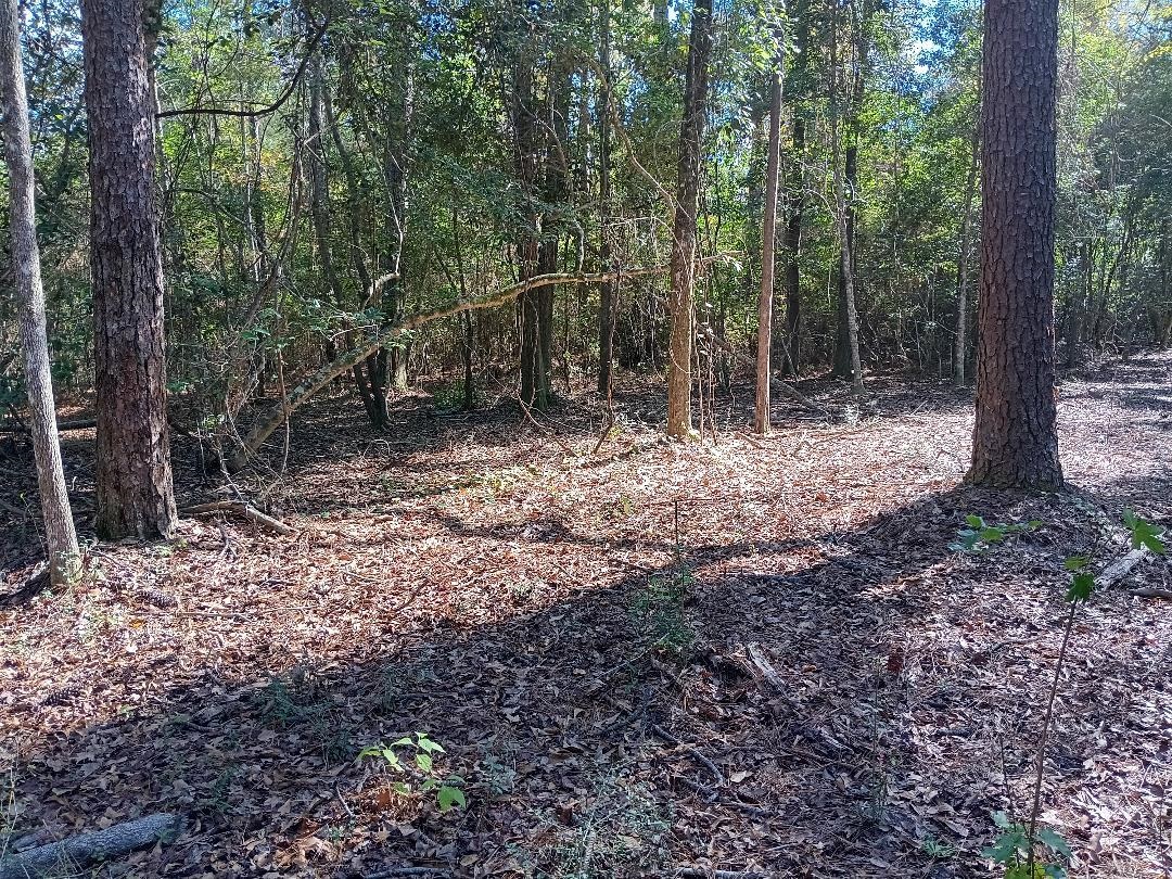 0 Carpenter Lane Bay Minette, AL 36507 - Photo 7 of 14 View