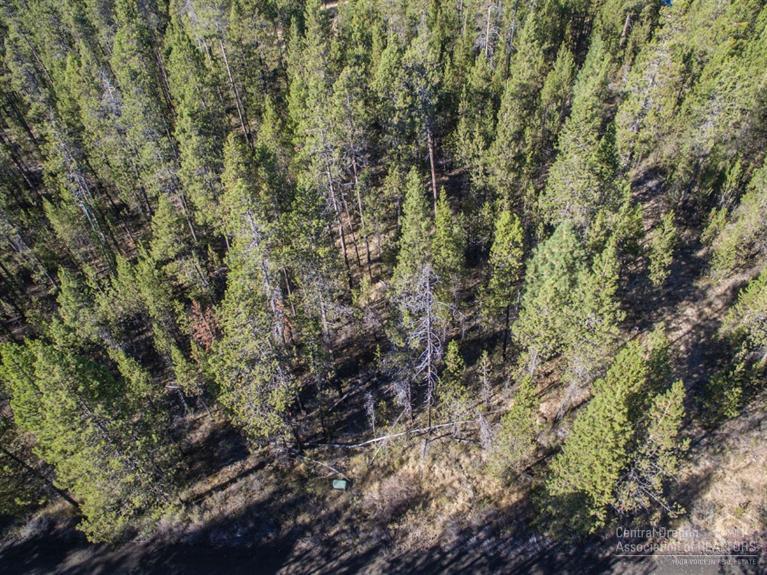 17290 Bakersfield Road Bend, OR 97707 - Photo 9 of 10 Additional Photo