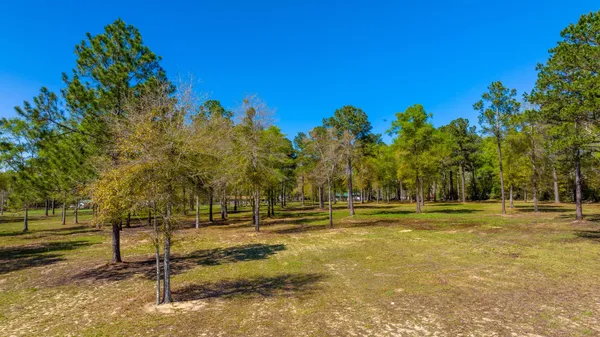 $219,900 | 10-acres N Cannon Drive, Laurel Hill, FL 32567